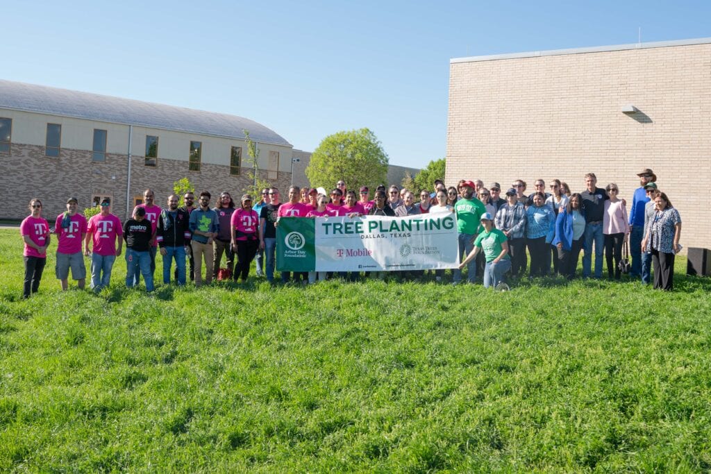 tree planting
